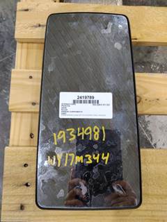 International ProStar Mirror