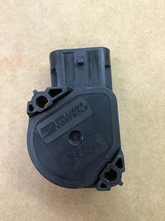 International for a International ALL