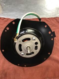 International for a International ALL