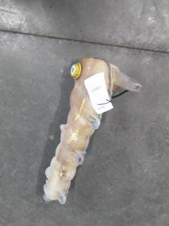 Freightliner Cascadia 126 Radiator Overflow Bottle / Surge Tank