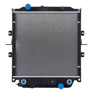 Blue Bird Vision Radiator