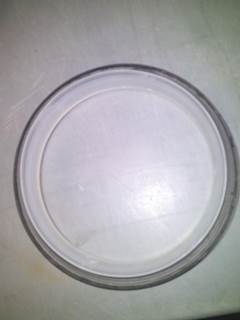 Cummins Seal for a Cummins ALL