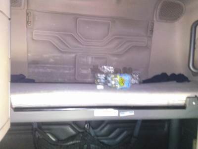 Freightliner Cascadia 125 Sleeper Bunk