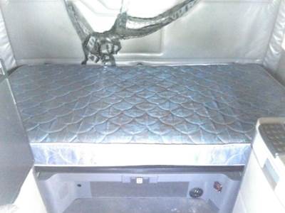 Freightliner Cascadia 125 Sleeper Bunk