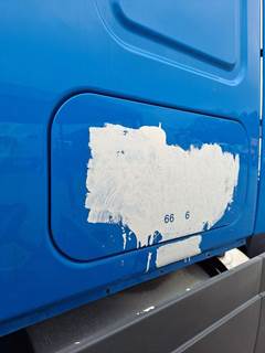 Freightliner Cascadia 125 Left Sleeper Door