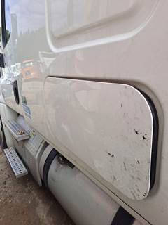 Freightliner Cascadia 125 Left Sleeper Door