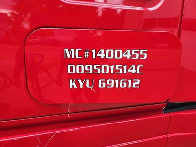 Freightliner Cascadia 125 Left Sleeper Door