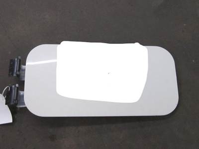 Freightliner Cascadia 125 Left Sleeper Door