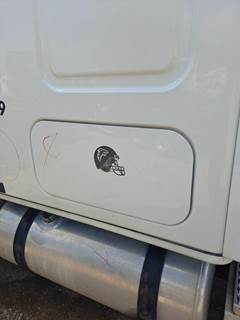 Freightliner Cascadia 125 Left Sleeper Door