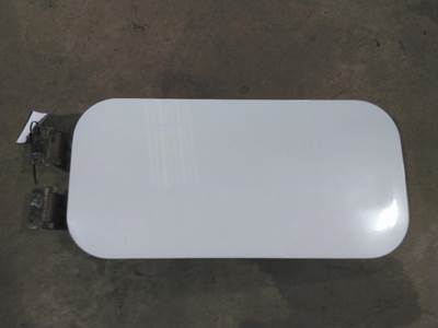 Freightliner Cascadia 125 Left Sleeper Door