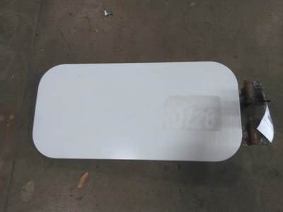 Freightliner Cascadia 125 Right Sleeper Door