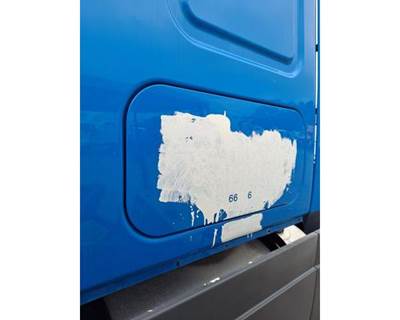 Freightliner Cascadia 125 Left Sleeper Door