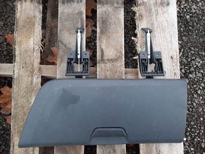 Freightliner Cascadia 126 Sleeper Door