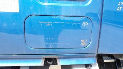 Freightliner Cascadia 126 Left Sleeper Door