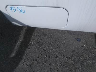 Freightliner Cascadia 126 Right Sleeper Door