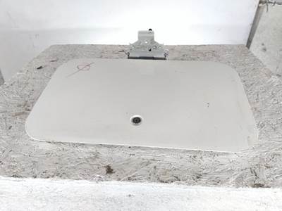 International LT Left Sleeper Door