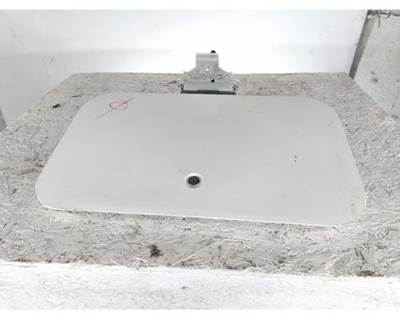 International LT Left Sleeper Door