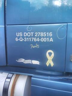 Volvo VNL Right Sleeper Door