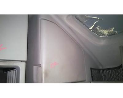 Volvo VNL Left Sleeper Door