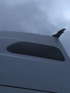 International LT Left Sleeper Window