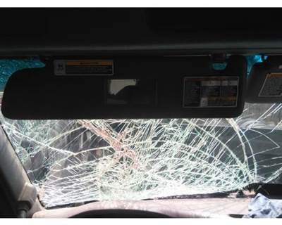 Peterbilt 579 Left Interior Sun Visor