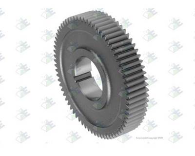 Euroricambi Gear C/S 69T