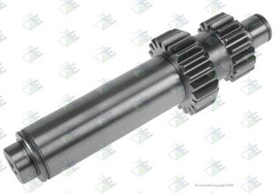 Euroricambi Transmission Part for a Euroricambi ALL