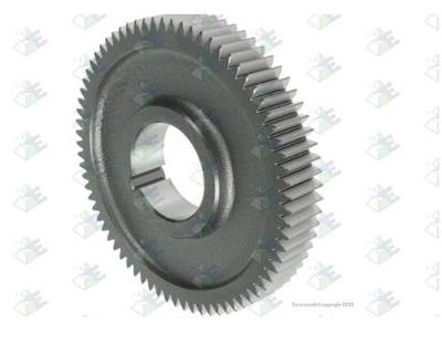 Euroricambi Gear C/S 73T
