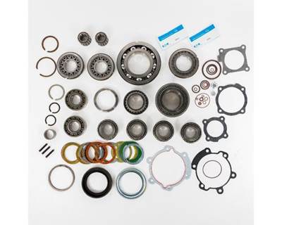 Fuller RTLO/RTLOF-22918B Basic Rebuild Kit