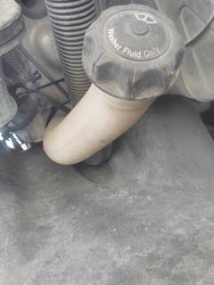 Freightliner Cascadia 113 Windshield Washer Reservoir