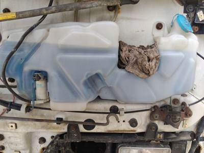 GMC T7500 Left Windshield Washer Reservoir