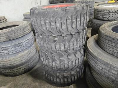 Location: Iowa City, Ia