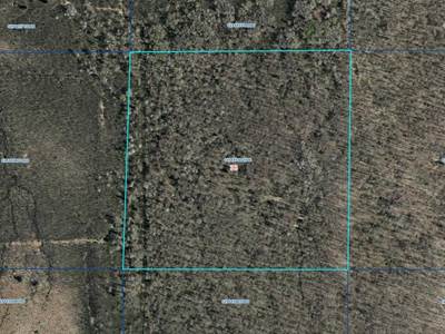 40 Acre Wooded Lot Located Just 5 Miles Northwest Of Ogema, Wisconsin. This