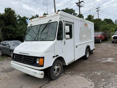 Workhorse P31042 Step Van