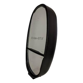 Blue Bird AAFE Door Mirror