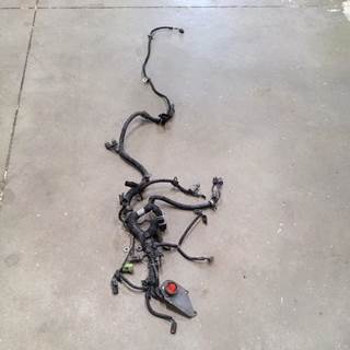 Cummins Engine Wiring Harness