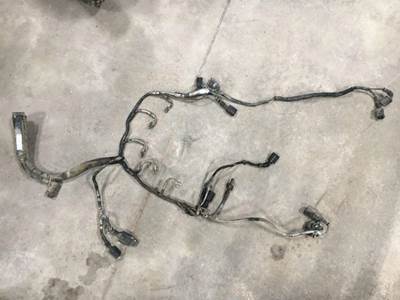 Mercedes-Benz MBE 906 Engine Wiring Harness