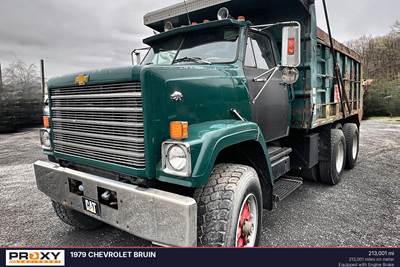Chevrolet BRUIN Dump Truck