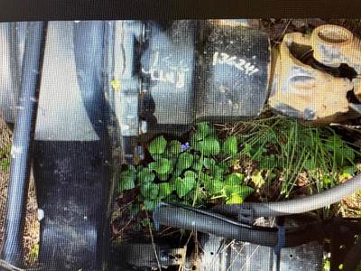 Freightliner Cascadia Rear Differential