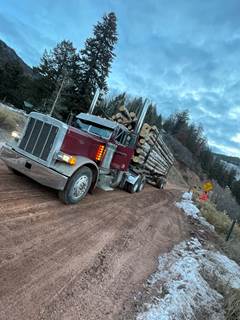 1994 Peterbilt 379 Logging Truck