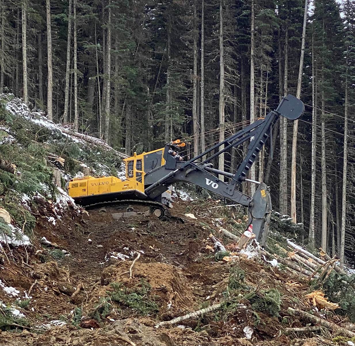 2019 Alpine ASY RS450MI Yarder Grapple & Backspar Package For Sale