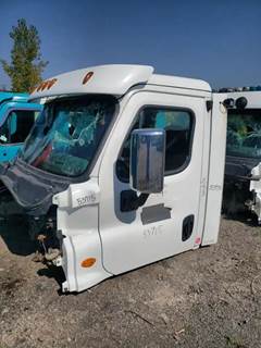 Freightliner Cascadia 125 Cab Assembly for a 2017 Freightliner CASCADIA PX125064S