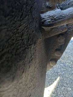 Rockwell RDL23160 Front Differential for a 2005 Freightliner COLUMBIA CL-120