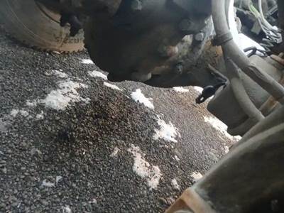 Eaton-Spicer DS-404 Rear Differential for a 2013 Freightliner CASCADIA PX125064S T