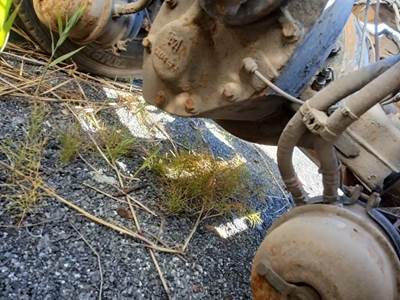 Rear Differential for a 2015 Volvo VNL