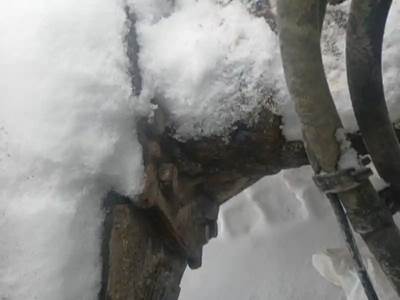 Meritor MR2014XA Rear Differential for a 2018 Freightliner CASCADIA PT126064S T