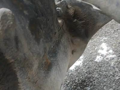 Meritor-Rockwell RD20-145 Rear Differential for a 2005 Freightliner COLUMBIA CL-120