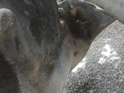 Rockwell RD20145 Rear Differential for a 2005 Freightliner COLUMBIA CL-120