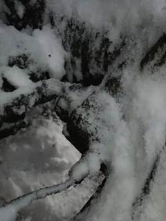 Rockwell RRL23164 Rear Differential for a 1999 Sterling LT-9513