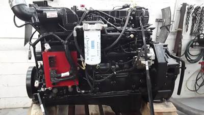 Cummins ISB 5.9 EGR Engine for a 2006 Aucune